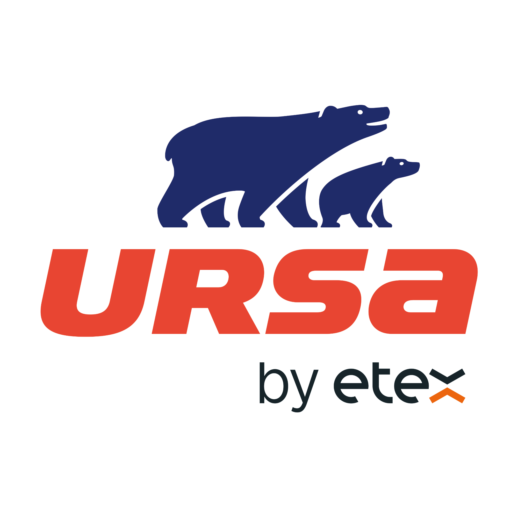 Ursa